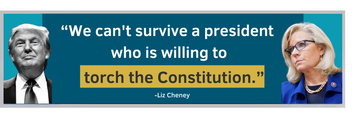 We can't survive a president who is willing to torch the Constitution. -Liz Cheney