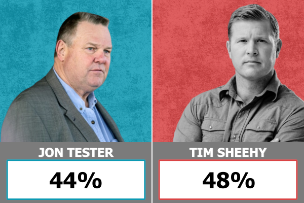 Tester/Sheeky polling